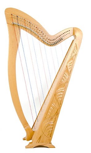 best harp on rent surat
