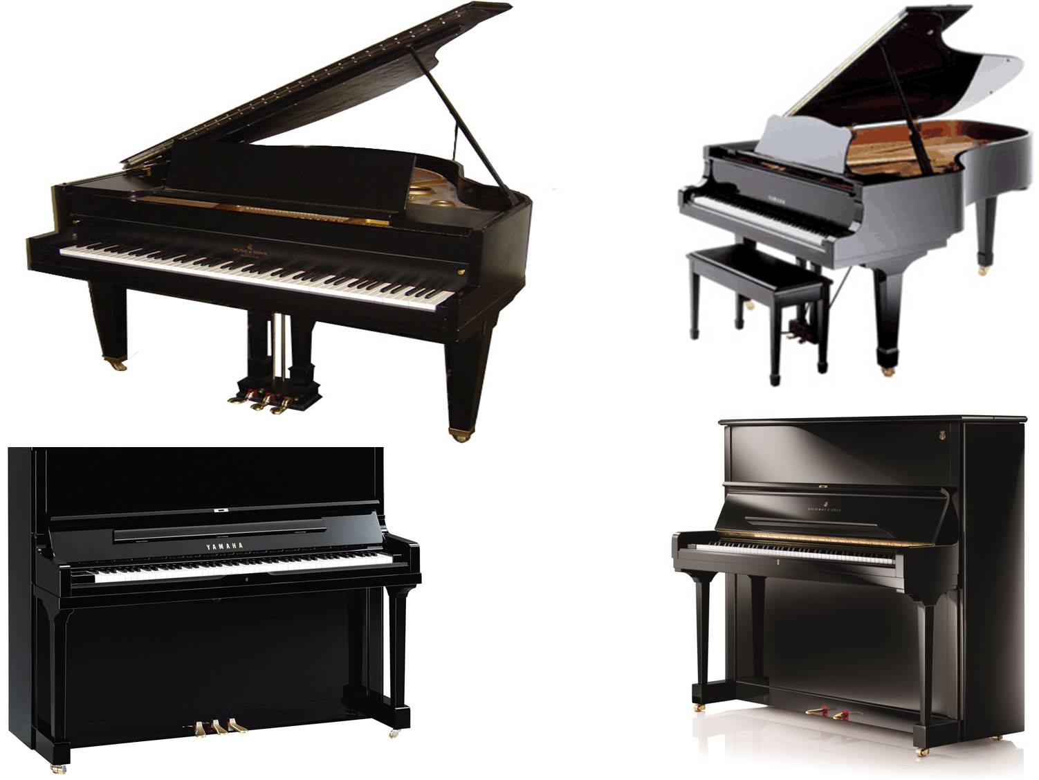 piano on rent surat